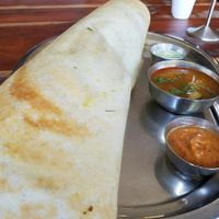 paper masala dosa at Maya Vegetarian Chat House in Surry Hills