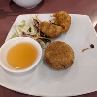 Fried dim Sims, steamed also available at Mother Chu's Vegetarian Kitchen in Sydney