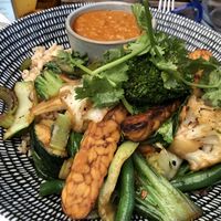   at Vegie Bar in Fitzroy