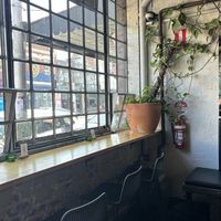   at Vegie Bar in Fitzroy