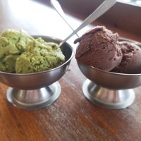 Matcha Ice Cream and Chocolate Ice Cream at Tofulicious in Richmond