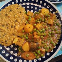 Bärlauch Tofu mit Curry at Bio Bistro Spicy Spices in Salzburg