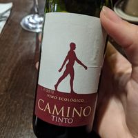 Organic vegan wine at Bio Bistro Spicy Spices in Salzburg