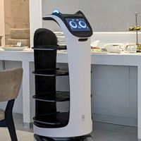 Automated Robot that brings the hot pots to the tables...adorable. at Vegetasia in Vienna