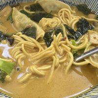   at Vegetasia in Vienna