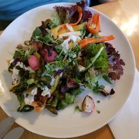 My friend's Quiche (vegetarian but not vegan), came with gorgeous side salad at Hollerei in Vienna