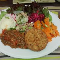 Dish of the day: cereal and vegetable steak, red and brown rice, lentils, cauliflower, celery, radishes, green beans, green salad, carrots. at De Bron - Pre-order only - Maybe closed in Bruges