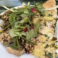 Burrito with herbs and salad   at Morgenstedet in Copenhagen