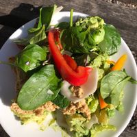 3 salads for 60 DKK at Morgenstedet in Copenhagen