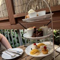   at Terre a Terre in Brighton