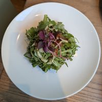  at Terre a Terre in Brighton