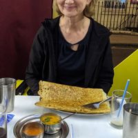 Mains at Diwana Bhel Poori House in North West London