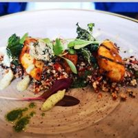 Tikka Trumpet Royale at The Gate - Hammersmith in West London