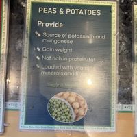   at Indian Veg Bhelpoori House in North London