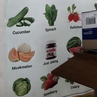   at Indian Veg Bhelpoori House in North London