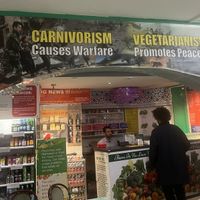   at Indian Veg Bhelpoori House in North London