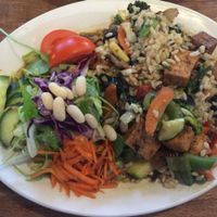 Tofu Teriyaki  at Riverside Vegetaria in Kingston Upon Thames