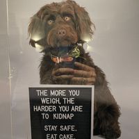 😊🙏🏼  at Manna London Restaurant - Maybe closed in North West London