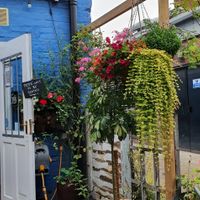 Outside seating area with lots of lovely greenery! at The Zoo in Hull