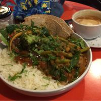 Vegan curry and flat white with oat milk at The Zoo in Hull