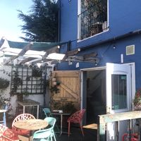 Outside at The Zoo in Hull