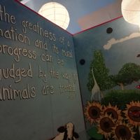 Upstairs Mural at Roots and Fruits.  at Roots and Fruits in Leeds