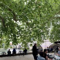 Outside seating area by the river  at Tide Tables in Richmond Upon Thames