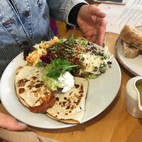 Vegan quesadillas with salad  at Archie Browns Health Food in Penzance