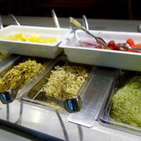 Silvoplee at Silvoplee in Helsinki