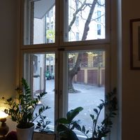 The view from the courtyard window in the backroom at Zucchini Vegetarian Cafe in Helsinki