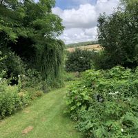 Garden view at La Maison du Vert in Ticheville