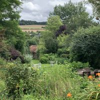 Garden view at La Maison du Vert in Ticheville