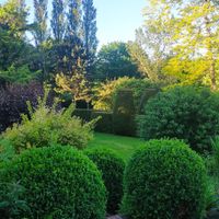 Garden at La Maison du Vert in Ticheville