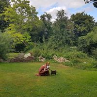 Cats in the perfect garden at La Maison du Vert in Ticheville