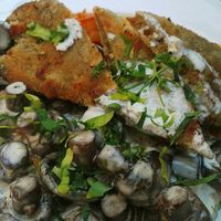 Seitan and mushrooms with creme sauce at Hiller in Hannover