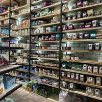   at The Nutmeg in Belfast