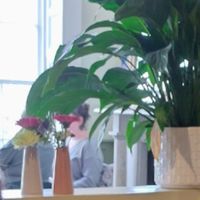  at Quay Co-op Cafe - Sullivan's Quay in Cork