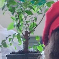 Interior at Quay Co-op Market in Cork