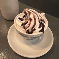 Vanilla soft serve with chocolate syrup   at Cornucopia in Dublin