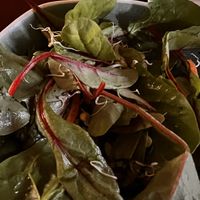 Mixed leaf salad  at Cornucopia in Dublin