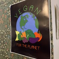   at Cornucopia in Dublin