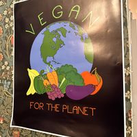   at Cornucopia in Dublin