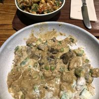 Salad and stroganoff  at Cornucopia in Dublin