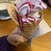 Ice cream with raspberry saucee  at Cornucopia in Dublin