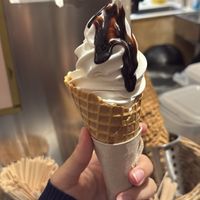 Soft serve ice cream   at Cornucopia in Dublin