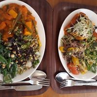 Enchiladas and vegetable curry with salads at Cornucopia in Dublin