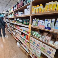 Down To Earth at Down To Earth in Dublin