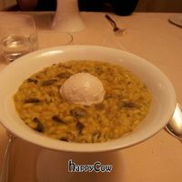 The risotto at Joia Alta Cucina Naturale in Milan