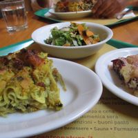 Lasagna, salad and fruit crumble -- all delicious! at Centro Natura in Bologna