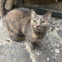   at Amico Bio - Un Sorriso Integrale in Naples